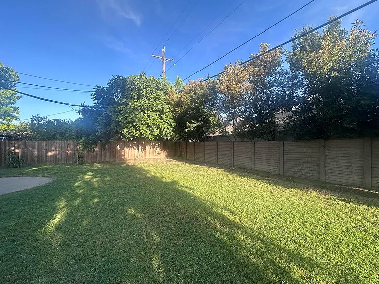 Backyard Lawn