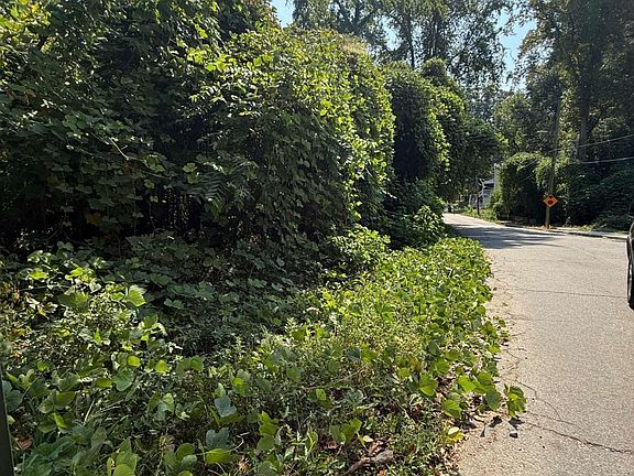 2nd image of 0 Lotus Ave NW