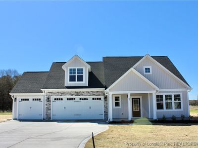 48 Surles Landing Way, Benson, NC, 27504