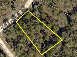 14236 Canyon Swallow Rd, Weeki Wachee, FL 34614