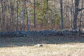 1st image of 382 N Raymond Rd
