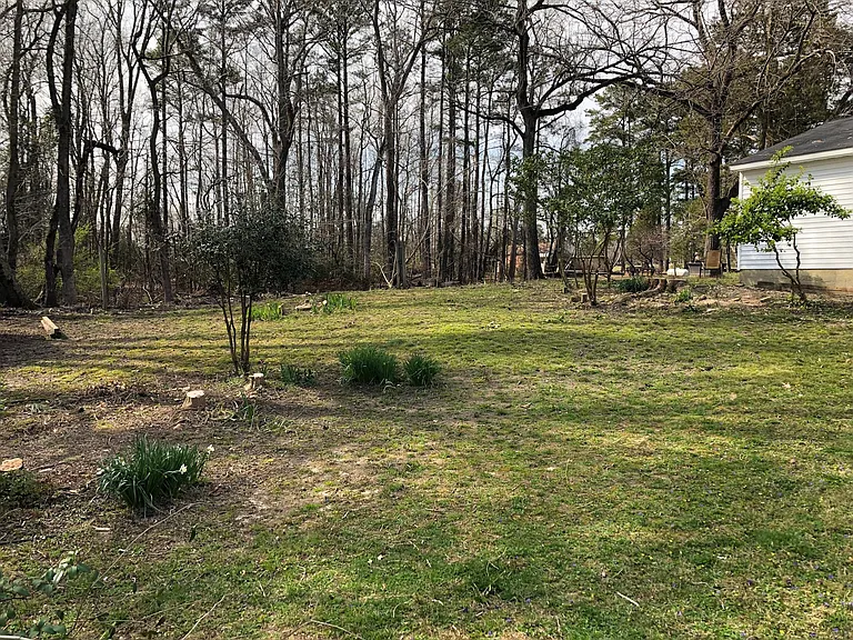 TRANQUIL BACKYARD