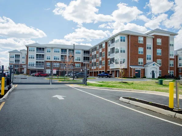 Silver Collection At Carl D Silver