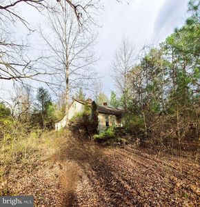 19493 Lake Orange Rd, Orange, VA, 22960