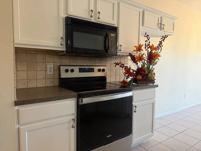 10917 Promise Land Dr — Photo 5