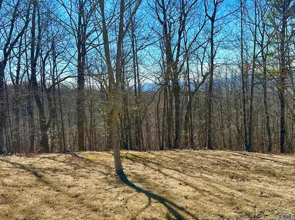91 White Rock Trl, Caldwell, WV 24925