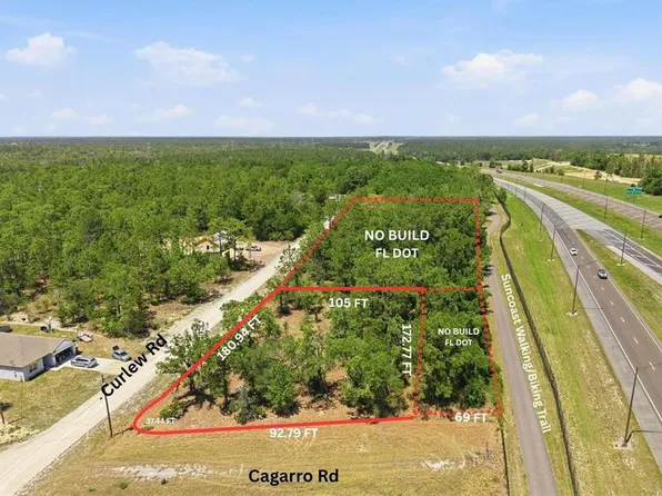 LOT 10 Cagarro Rd Lot 10, Brooksville, FL 34614