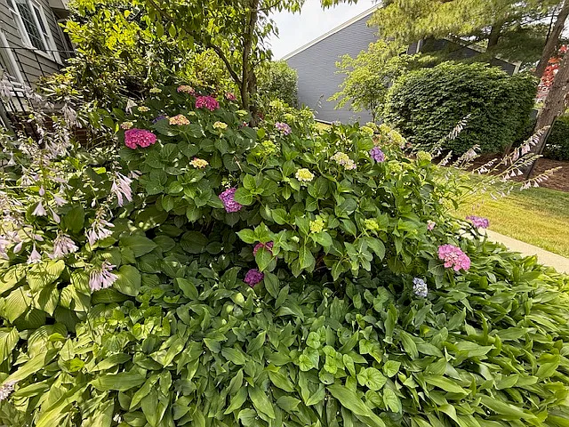 21 Hawser Ln — Photo 28