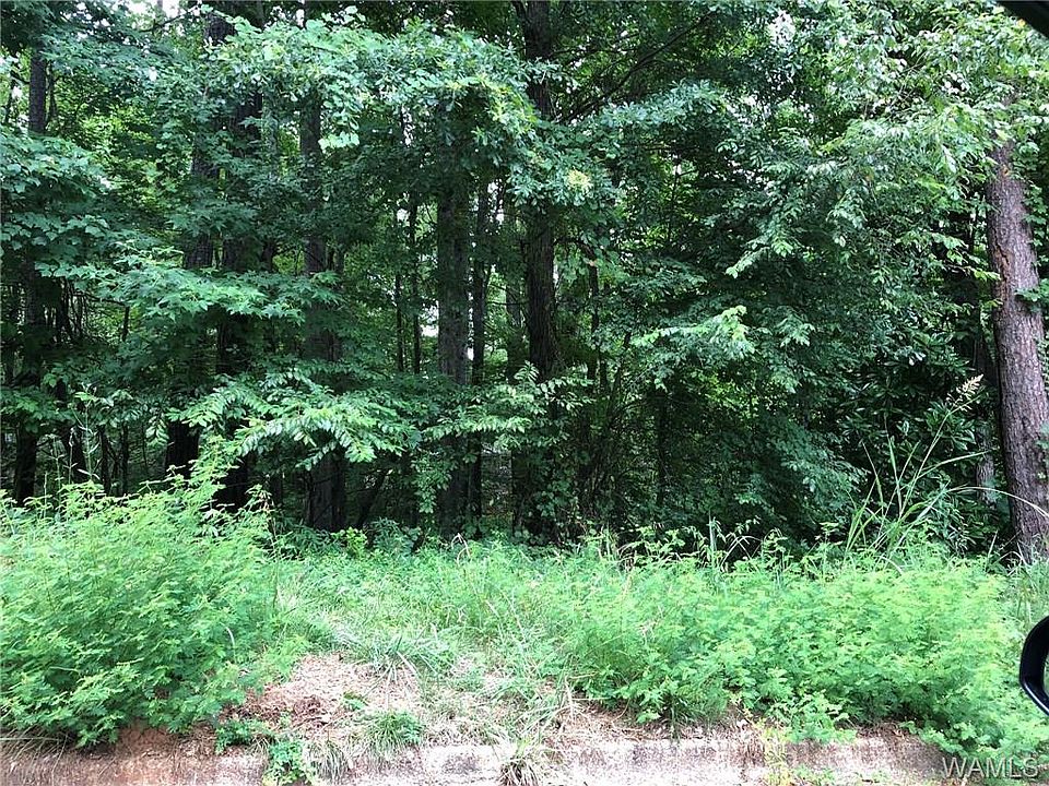 2nd image of 4740 Woodvale Dr