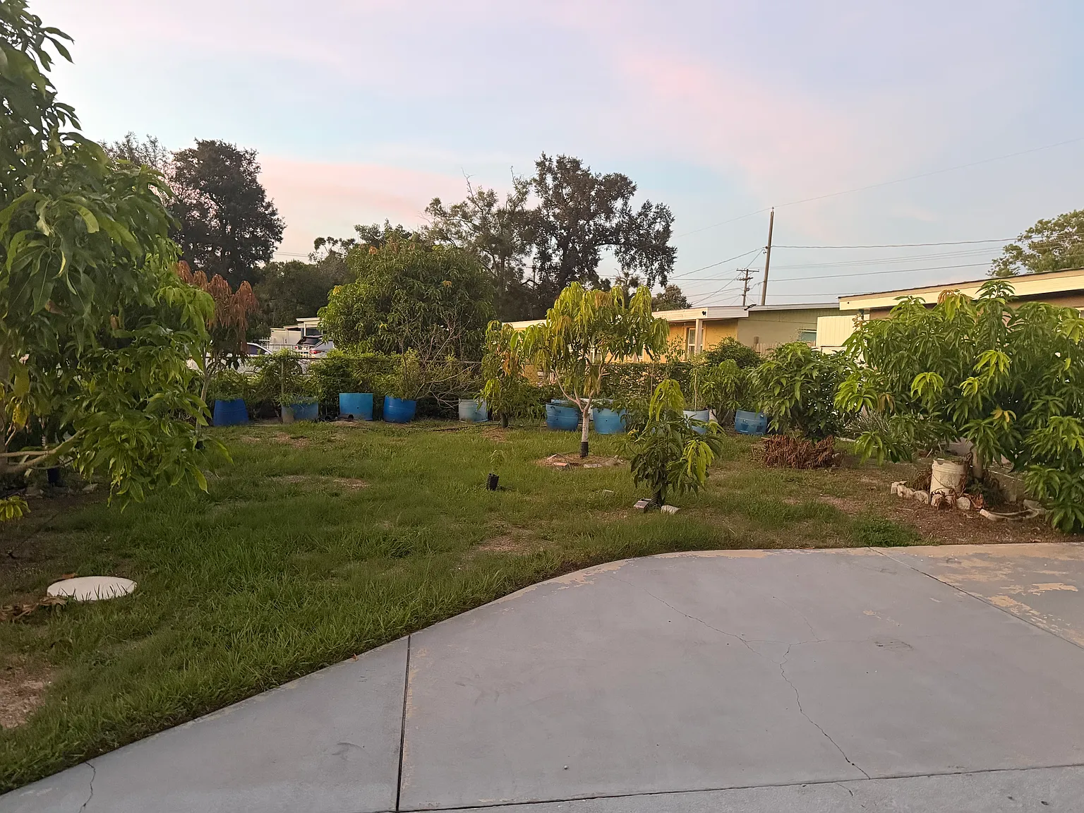Clair Mel Cir, Tampa — Photo 3