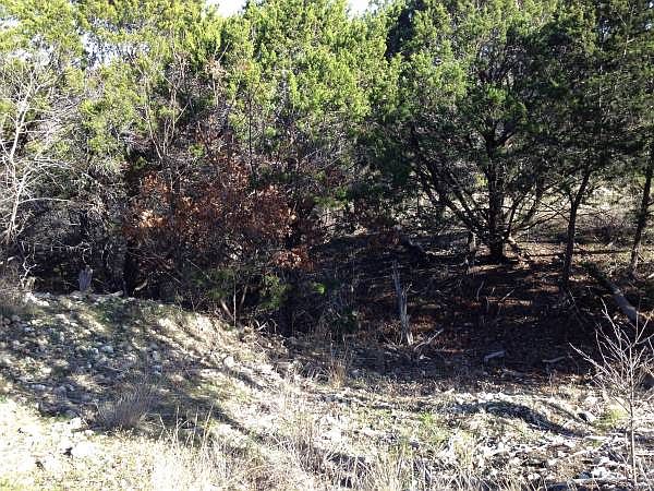 2nd image of 310 Whispering Oaks