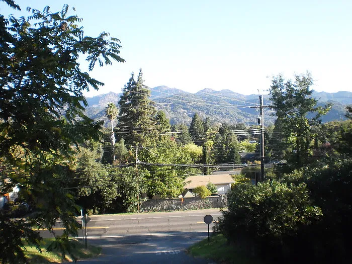 2 bed, 2.0 bath, 1368 sqft, $3,650 — Photo 3