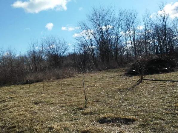 9257 Farm Road 1065, Purdy, MO 65734