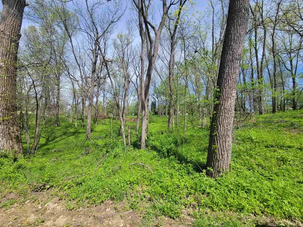 22813 W Circle Dr, Bernard, IA 52032