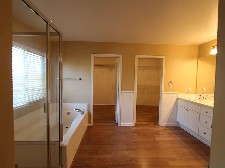 master bathroom & walk-in closet