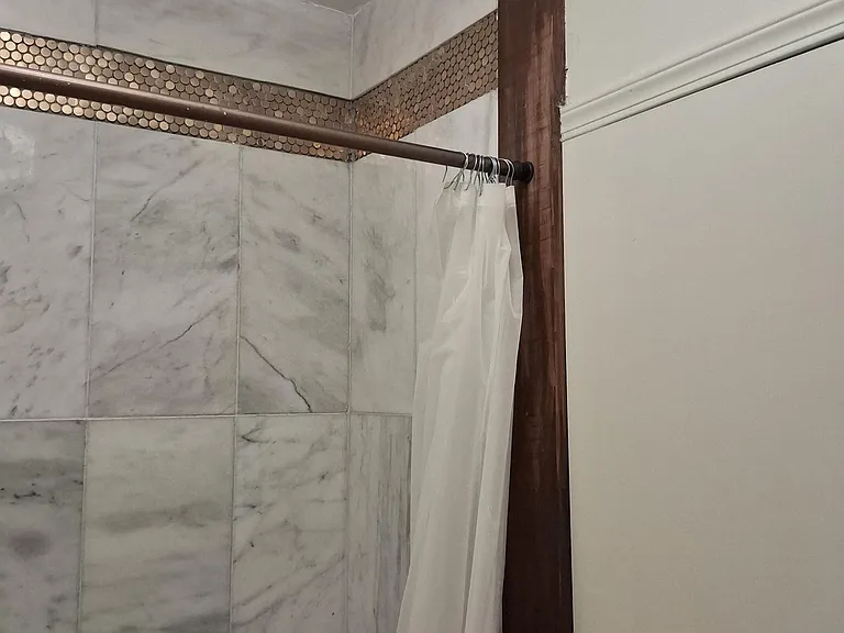 Master bathroom shower