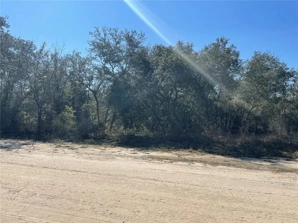 0 NE 93rd Ln #146, Bronson, FL 32621