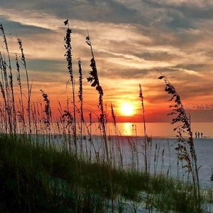 6650 Sunset Way APT 210, Saint Pete Beach, FL, 33706