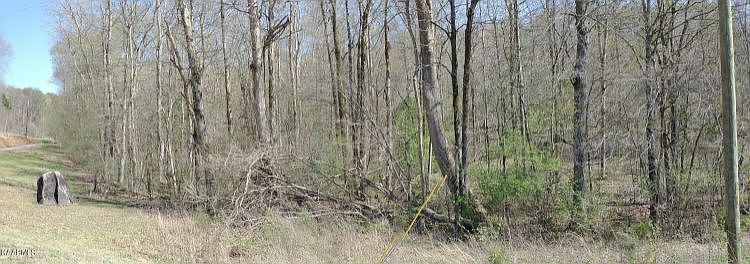 2nd image of Cloyds Creek Rd