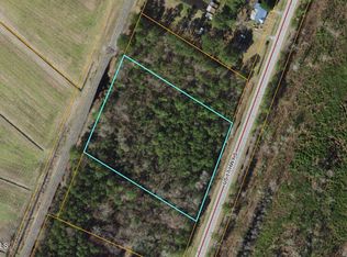 0 Us Highway 17 S, Vanceboro, NC 28586
