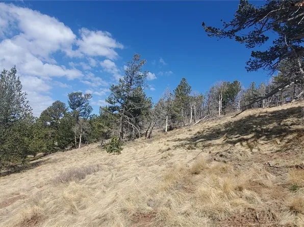 Lot 2740 Newman Place LOT 2740, Fort Garland, CO 81133