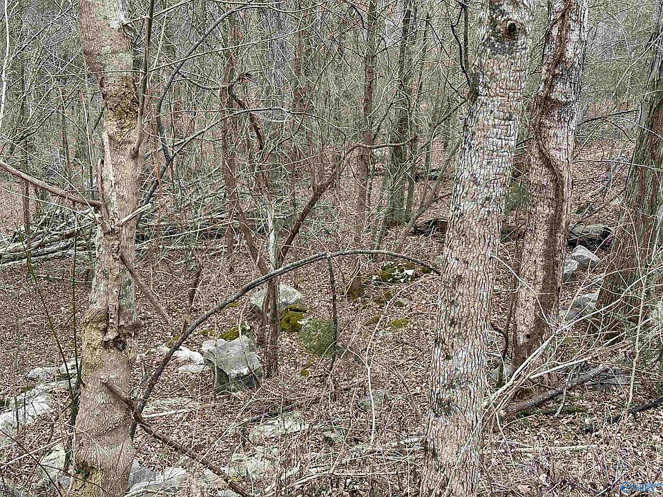 1st image of 4621 Legacy Preserve Way SE