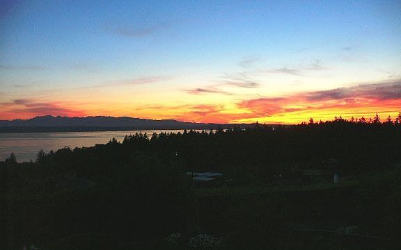 Endless Sunsets