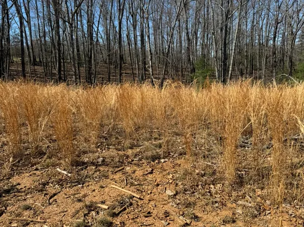 LOT 6A Navajo Cir, Henry, VA 24102