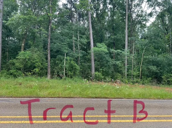 Fm 414, Center, TX 75935