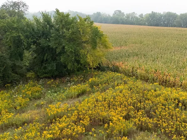 LOT 2 Goat Back Rd, Pepin, WI 54759