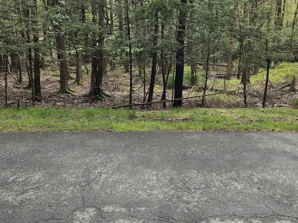 62 Indian Dr, Greentown, PA 18426