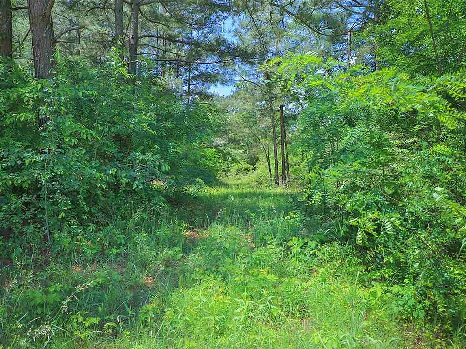 2nd image of Hammock Rd