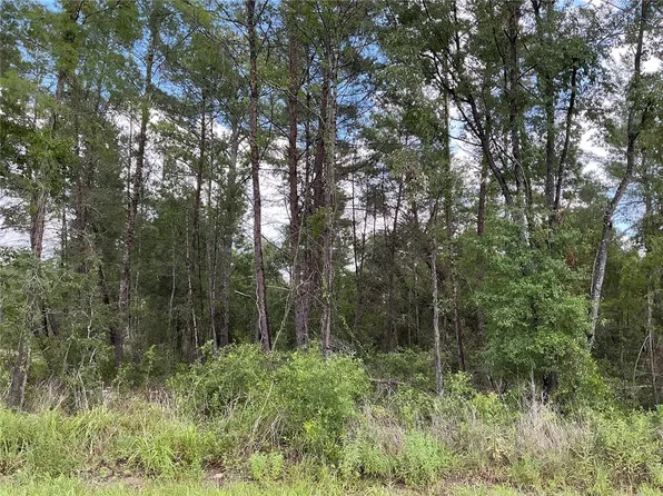 LOT 1 BAY COURT PASS LOT 1, OCKLAWAHA, FL 32179