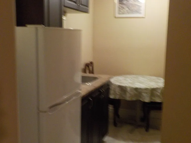 248 Shuter St — Photo 7