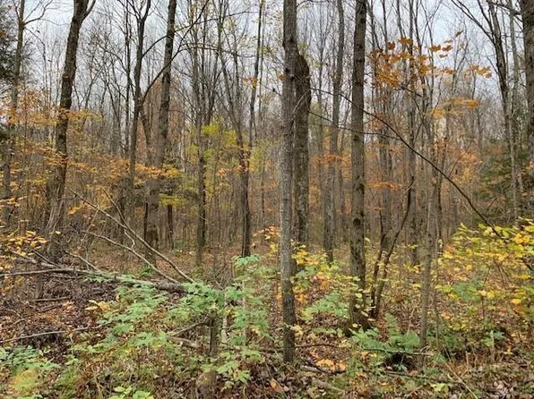 80 Acres (mol) NO NAME ROAD, Merrill, WI 54452