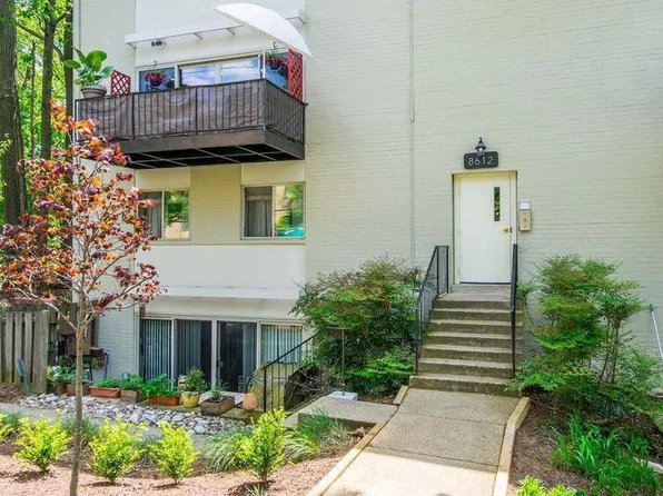 8614 Manchester Rd APT 6, Silver Spring, MD 20901