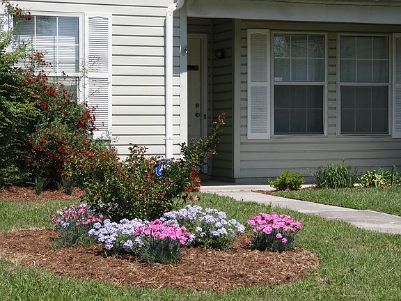 Front Gardens