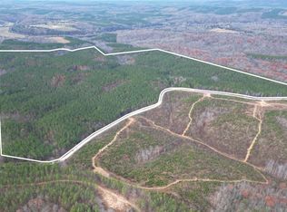 606 Spears Mountain Rd, Wingina, VA 24599