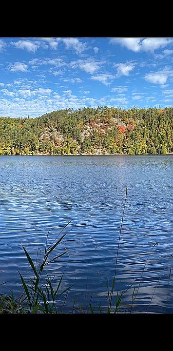 View from shore.