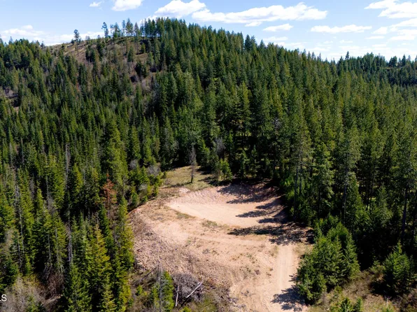 10 Lone Moose Dr, Plummer, ID 83851