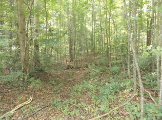 Mountain View Lot 18 Cir, Hampton, TN 37658