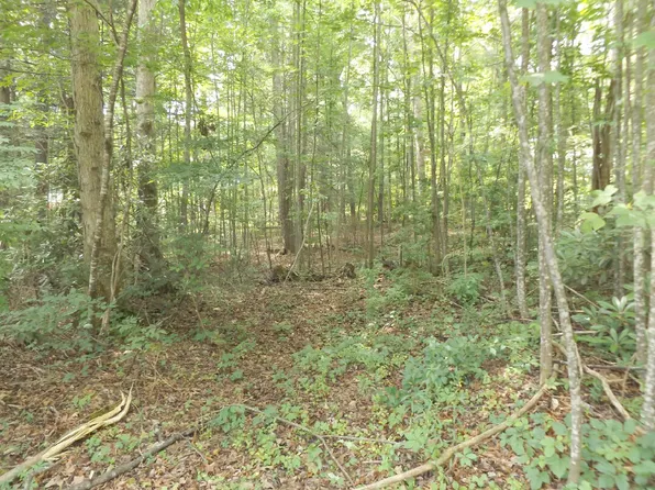 Mountain View Lot 18 Cir, Hampton, TN 37658
