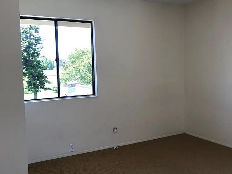 8022 Camino Tranquilo — Photo 12