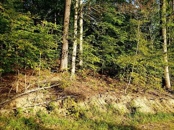 Crow Creek Rd, Fayetteville, WV 25840