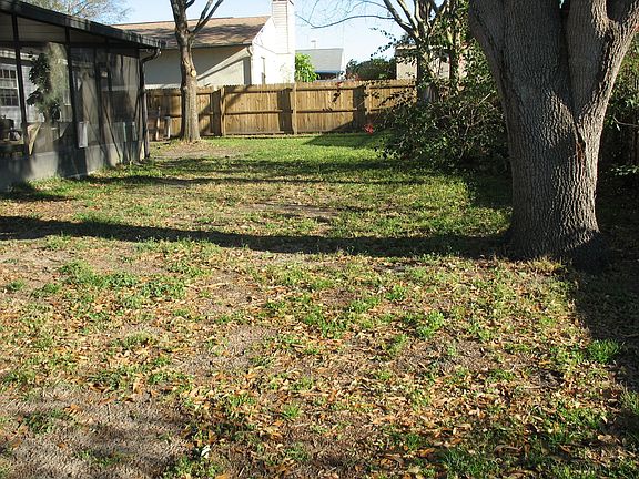 Back yard