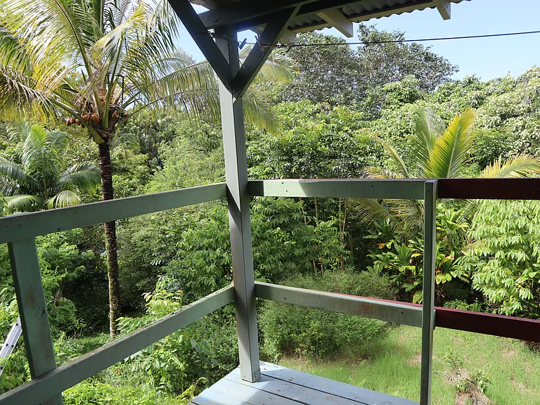 More of the view from the lanai.