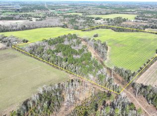 X Mimosa Ln, Cottondale, FL 32431