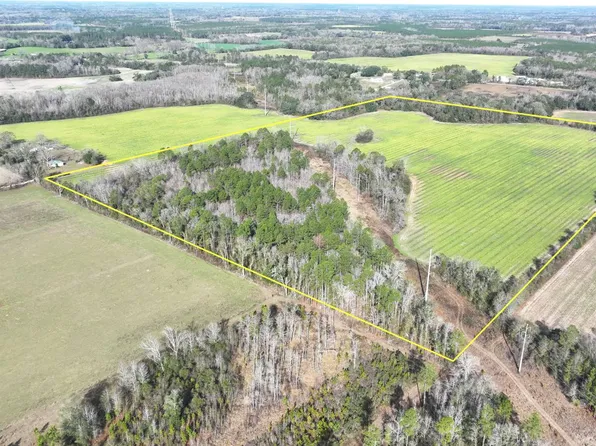 X Mimosa Ln, Cottondale, FL 32431