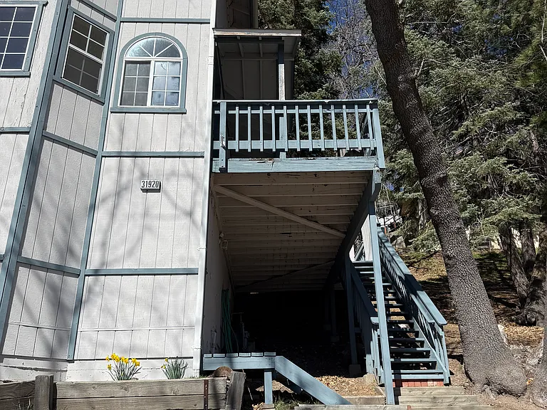 31920 Pine Cone Dr — Photo 2
