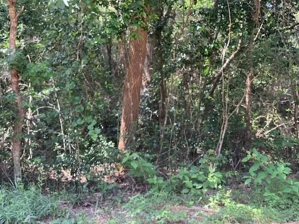 Tanyard Rd, Conroe, TX 77303